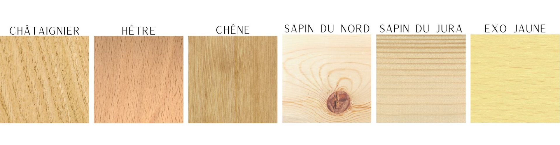 Nos essences de bois