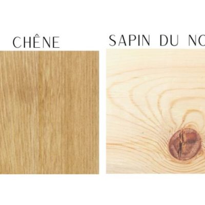 Comment différencier les essences de bois ?